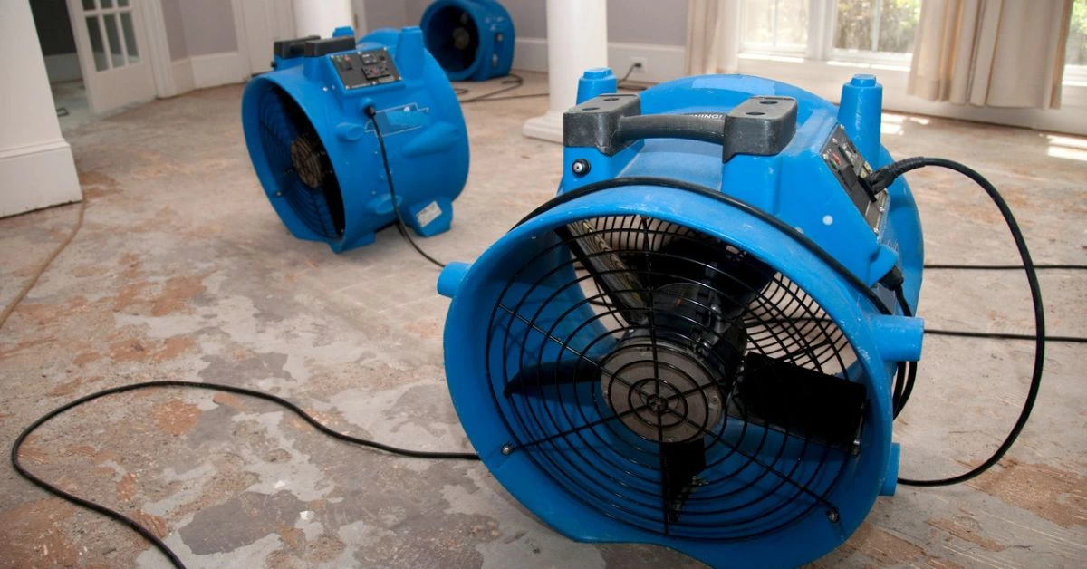 dec-13.2).2212130911550